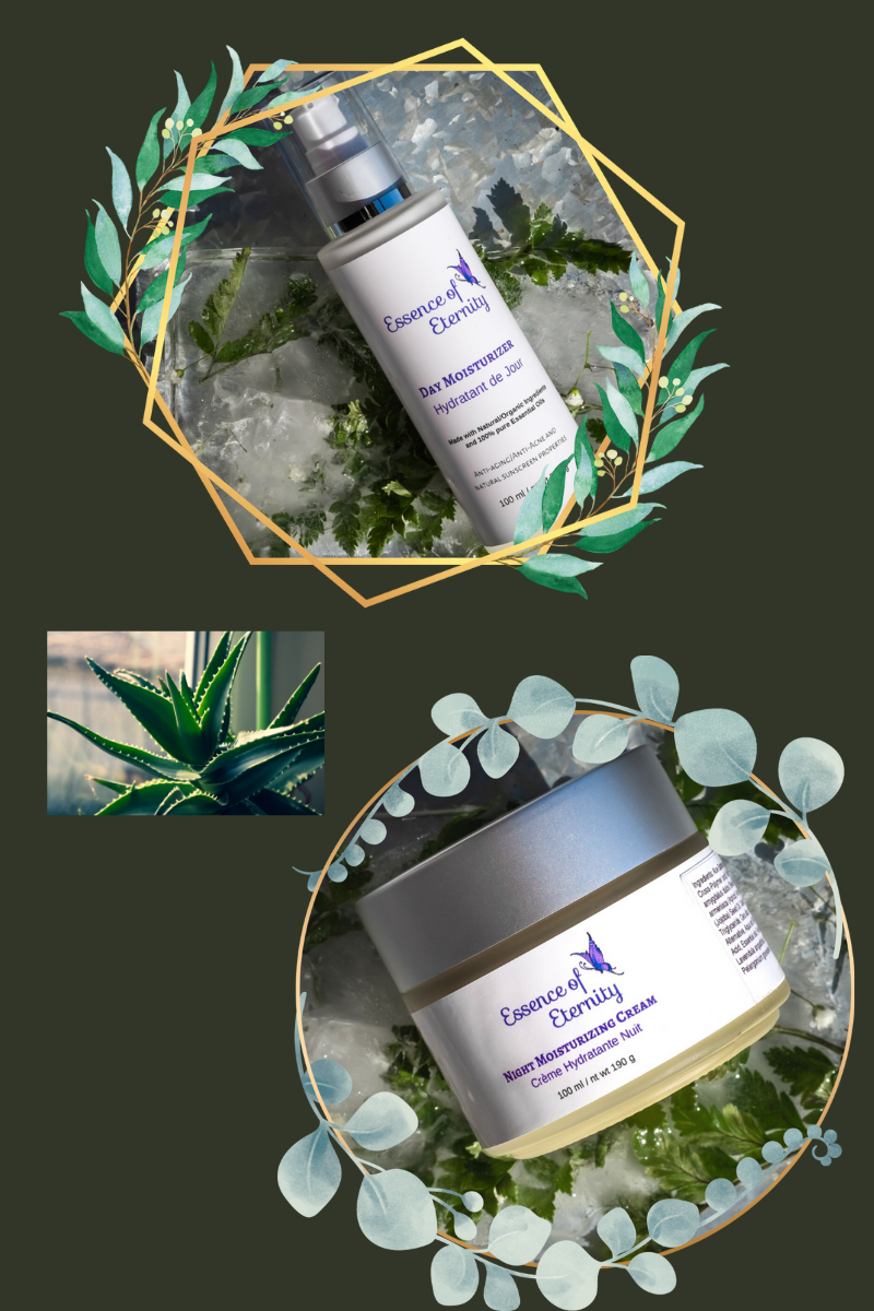 Aloe Vera - Nature's Gift to Skin